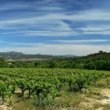 Vastes vignobles verdoyants s'étendant à perte de vue, sous un ciel bleu zébré de nuages. Au loin, des collines boisées et des montagnes. Un paysage bucolique rappelant la grange des pères.