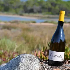 Bouteille de vin blanc du **domaine de Saparale** posée sur un rocher, avec un paysage de rivière et de végétation en arrière-plan.