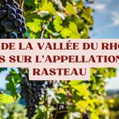 Grappes de raisin noir mûrissant dans le domaine des Escaravailles, sous le soleil de la Vallée du Rhône Sud, appellation Rasteau.