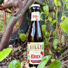 Bière à la cerise Silly Kriek, une bière belge artisanale, posée dans la nature près d'une roue rouillée.