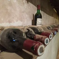 Des bouteilles de vin poussiéreuses s'alignent dans une cave. Combien de temps pour éliminer une bouteille de vin ? La réponse dépend de la patience du dégustateur.