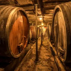 Cave à vin sombre avec de grands fûts en bois, certains marqués "Jean Baptiste Adam". Lumière tamisée éclairant les tonneaux.