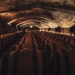 Cave voûtée remplie de rangées de fûts de chêne en bois.