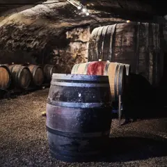 Cave voûtée du **château grange cochard** remplie de fûts de chêne anciens, certains marqués de rouge, attendant patiemment le vieillissement du vin.