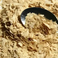 Une cuillère remplit de levure de bière probiotique, une poudre dorée et floconneuse, prête à être ajoutée à vos plats pour un boost nutritionnel.