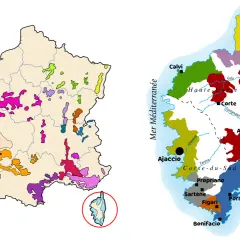 Carte de France et de Corse montrant les régions viticoles colorées.