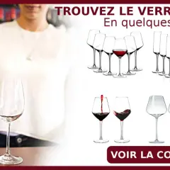 Découvrez dans quel verre servir le vin pour une dégustation parfaite. Collection de verres à vin variés.