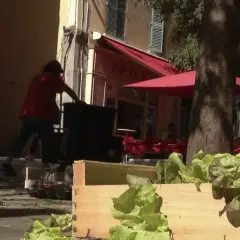 Des caisses de laitues fraîches attendent sur un trottoir, tandis que des personnes chargent des bacs. La duree fut de biere, mais le travail continue.