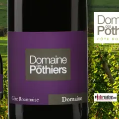 Bouteille de vin rouge du **Domaine des Pothiers** sur fond de vignoble et de collines verdoyantes.