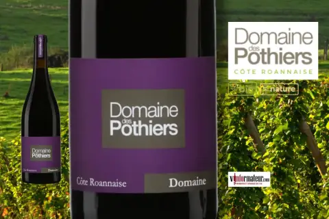 Bouteille de vin rouge du **Domaine des Pothiers** sur fond de vignoble et de collines verdoyantes.
