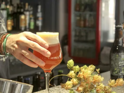 Bière IPA - Comprendre, choisir et déguster comme un expert