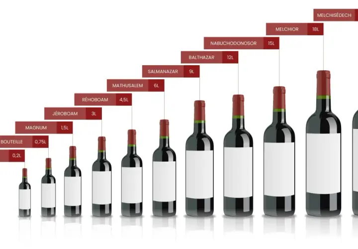 Comparaison des tailles de bouteille de vin cl, du Piccolo (0,2L) au Melchisédech (30L), avec leurs noms bibliques.