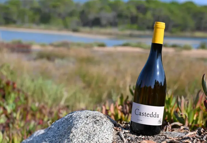Bouteille de vin blanc du **domaine de Saparale** posée sur un rocher, avec un paysage de rivière et de végétation en arrière-plan.