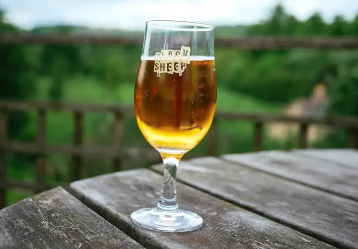Un verre de bière ale blonde, marqué "Black Sheep", sur une table en bois avec un fond verdoyant.