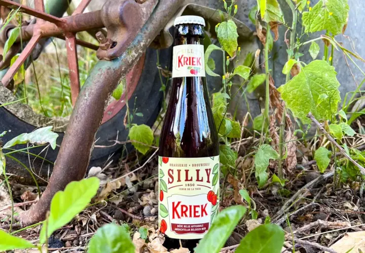 Bière à la cerise Silly Kriek, une bière belge artisanale, posée dans la nature près d'une roue rouillée.