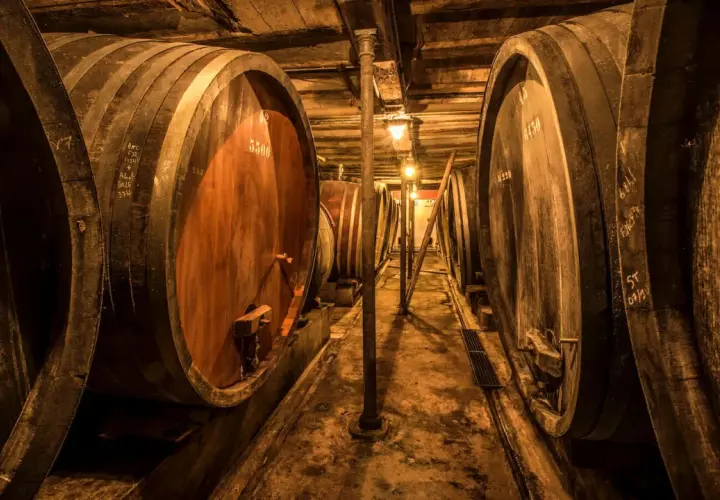 Cave à vin sombre avec de grands fûts en bois, certains marqués "Jean Baptiste Adam". Lumière tamisée éclairant les tonneaux.