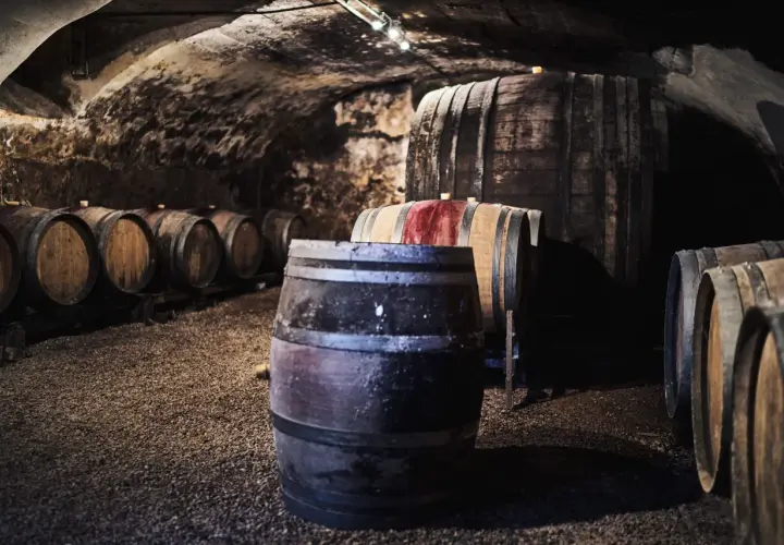 Cave voûtée du **château grange cochard** remplie de fûts de chêne anciens, certains marqués de rouge, attendant patiemment le vieillissement du vin.