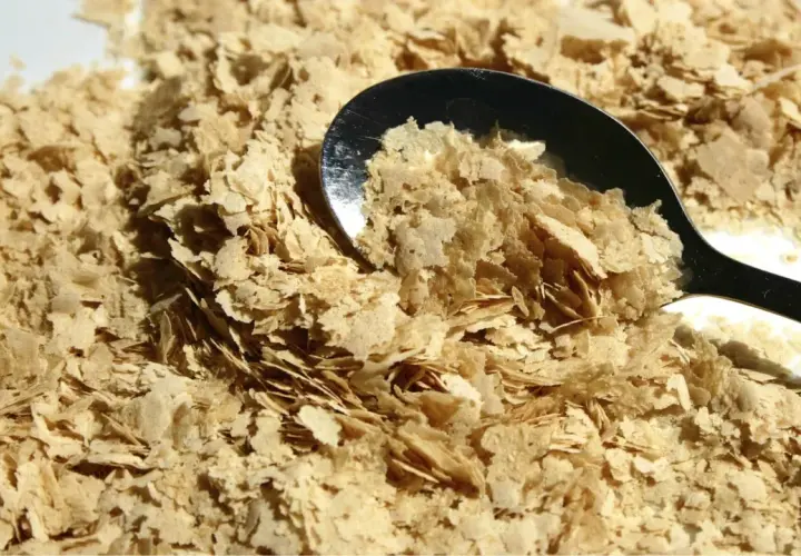 Une cuillère remplit de levure de bière probiotique, une poudre dorée et floconneuse, prête à être ajoutée à vos plats pour un boost nutritionnel.