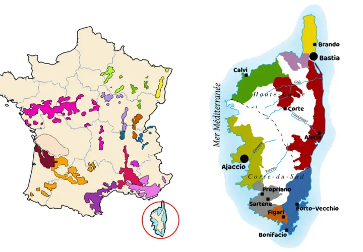 Carte de France et de Corse montrant les régions viticoles colorées.