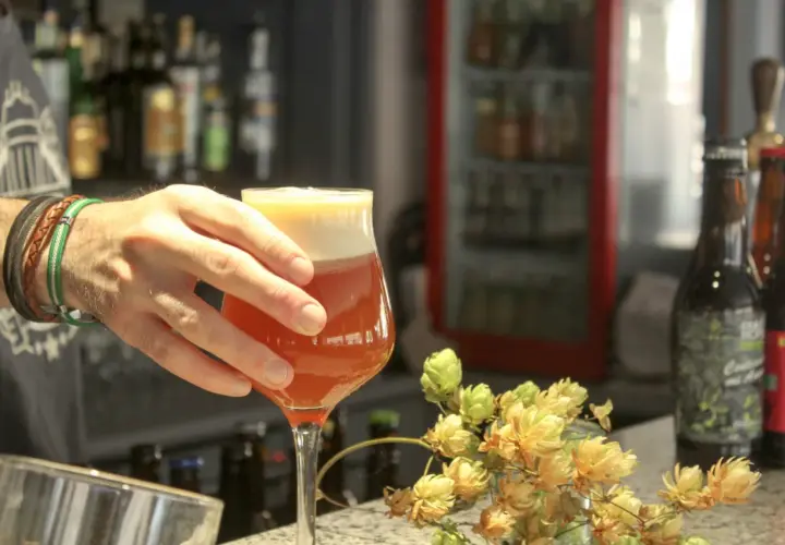 Main d'un homme tenant un verre de bière IPA ambrée, avec des cônes de houblon frais sur le comptoir.