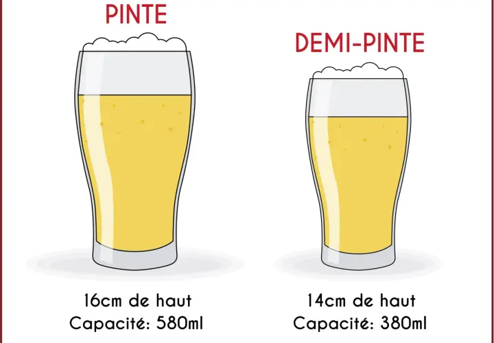 Deux verres de bière, une pinte et une demi-pinte, avec leurs dimensions et capacités indiquées.