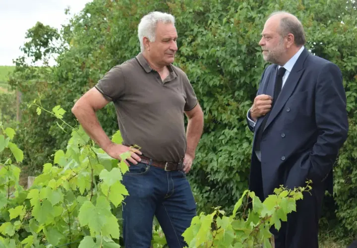 Deux hommes discutent au milieu des vignes du Clos de la Roilette. L'un porte un polo marron et jean, l'autre un costume sombre.