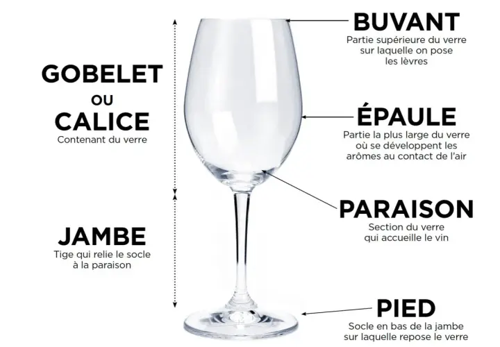 Un verre d'eau clair, étiqueté avec ses parties : buvant, épaule, paraison, jambe et pied. Idéal pour déguster un bon vin.