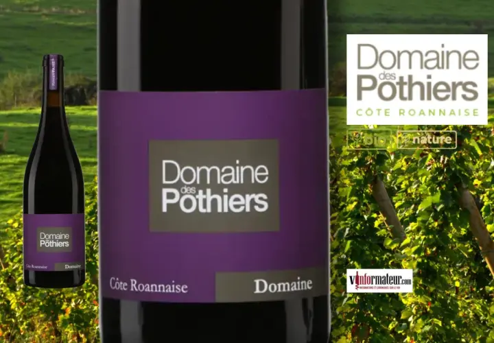 Bouteille de vin rouge du **Domaine des Pothiers** sur fond de vignoble et de collines verdoyantes.