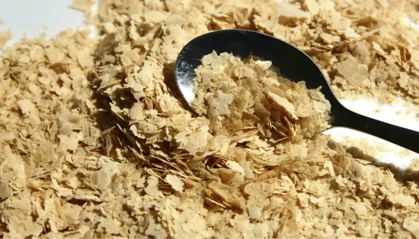 Une cuillère remplit de levure de bière probiotique, une poudre dorée et floconneuse, prête à être ajoutée à vos plats pour un boost nutritionnel.