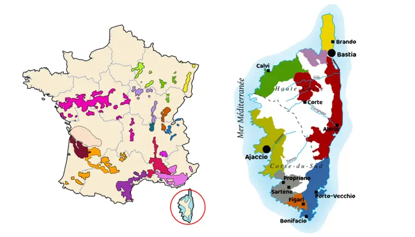 Carte de France et de Corse montrant les régions viticoles colorées.