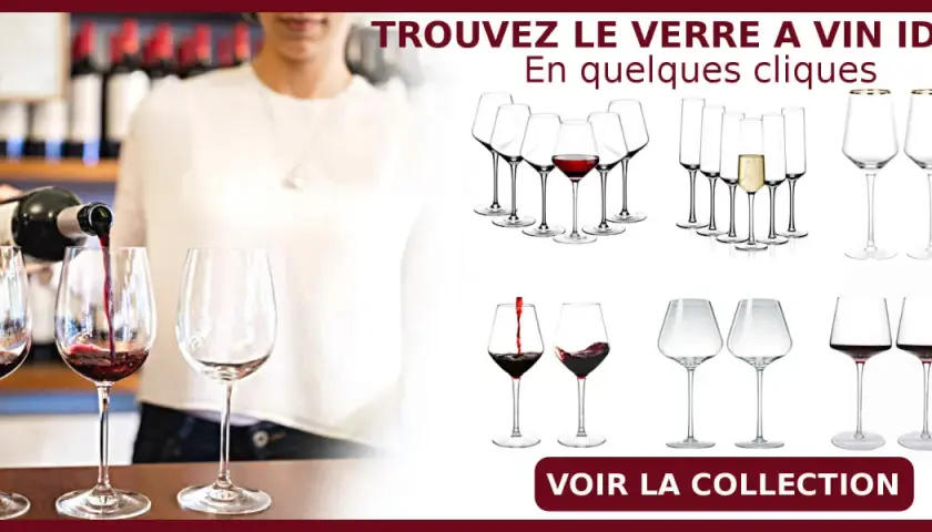 Découvrez dans quel verre servir le vin pour une dégustation parfaite. Collection de verres à vin variés.
