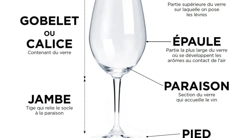 Un verre d'eau clair, étiqueté avec ses parties : buvant, épaule, paraison, jambe et pied. Idéal pour déguster un bon vin.