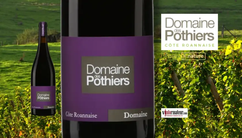 Bouteille de vin rouge du **Domaine des Pothiers** sur fond de vignoble et de collines verdoyantes.
