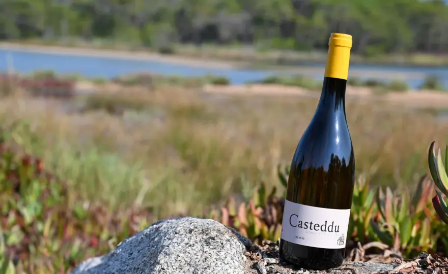 Saparale - Comprendre et choisir les vins de Corse