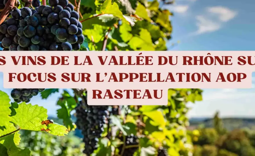 Domaine Rasteau - Guide pour comprendre et choisir vos vins