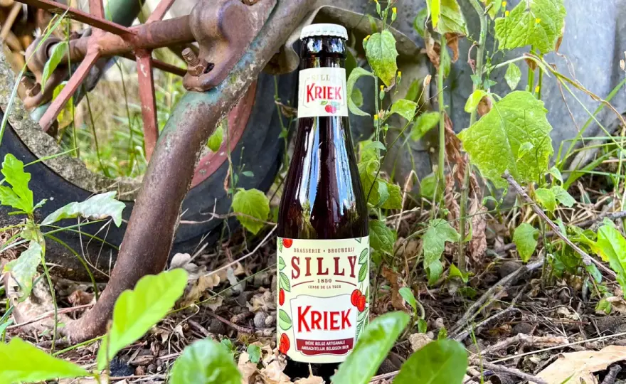 Bière à la cerise - Décryptez les styles et évitez le piège