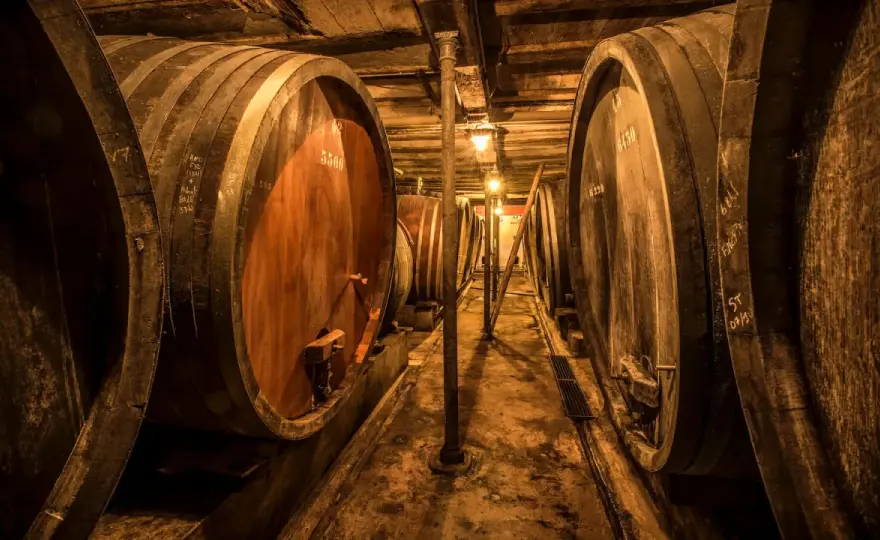 Vins Jean-Baptiste Adam - Quel vin d'Alsace choisir pour votre table ?