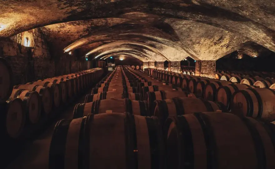 Domaine Génot-Boulanger - Décryptez ses vins de Bourgogne