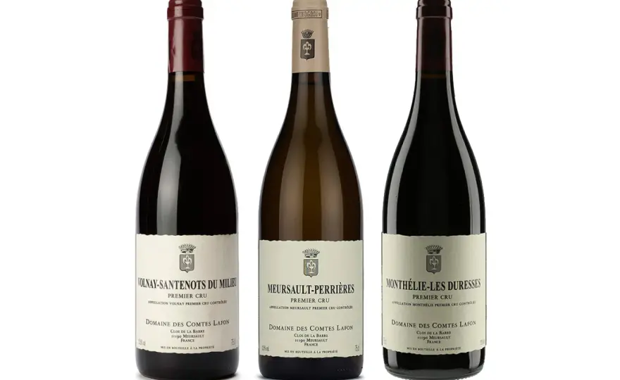 Domaine Comtes Lafon - Comprendre et choisir ses Meursault