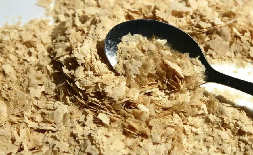 Levure de bière - Vrai probiotique ou simple nutriment ?