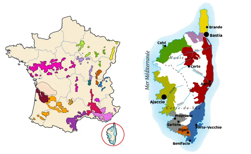 Vaccelli - Le secret des grands vins corses du Taravo