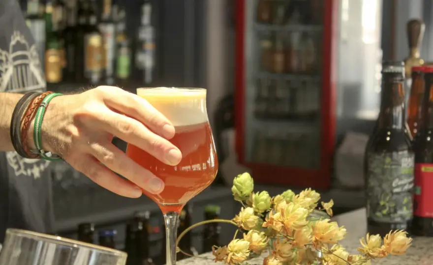 Bière IPA - Comprendre, choisir et déguster comme un expert