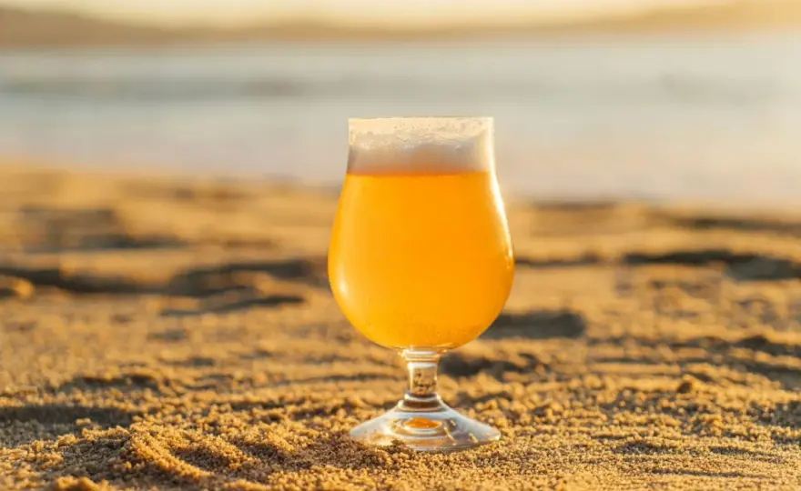 Styles de bière - Le guide pour choisir sans se tromper
