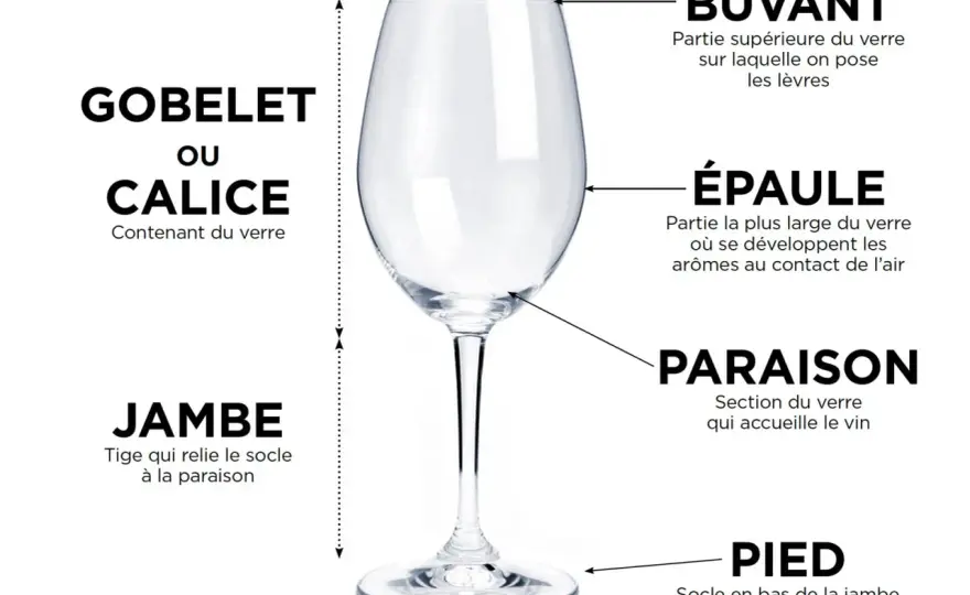 Verre d'eau - Quelle contenance choisir ? Guide pour un service juste