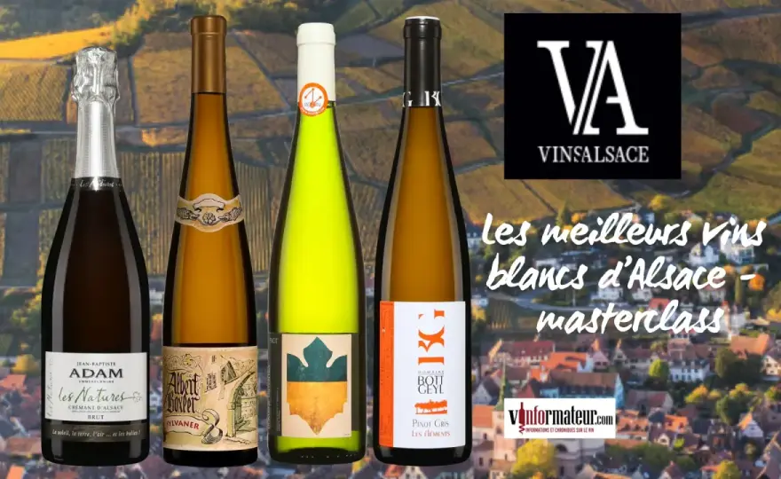 Albert Boxler - Quel Vin d'Alsace Choisir et à Quel Prix?