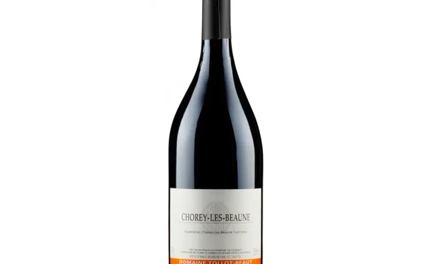 Tollot-Beaut - Choisir, servir et comprendre ses vins