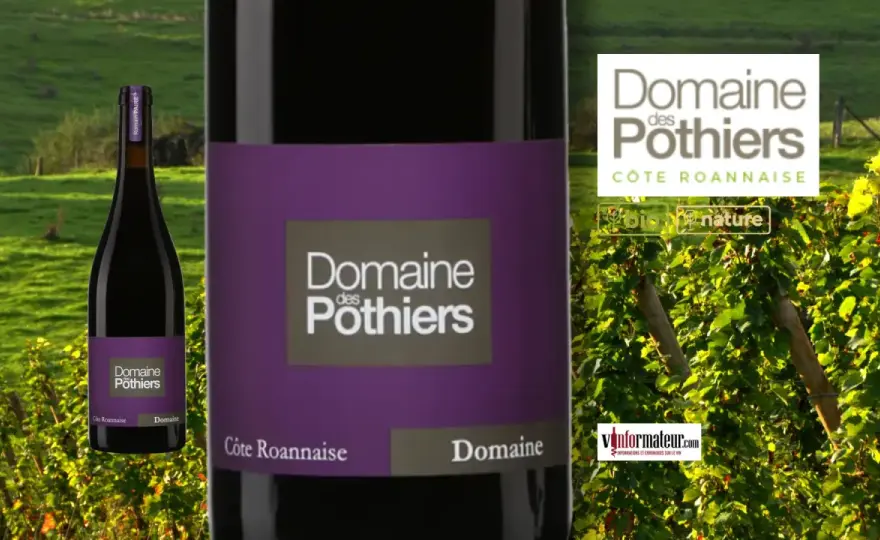 Domaine des Pothiers - Maîtrisez les vins de Côte Roannaise
