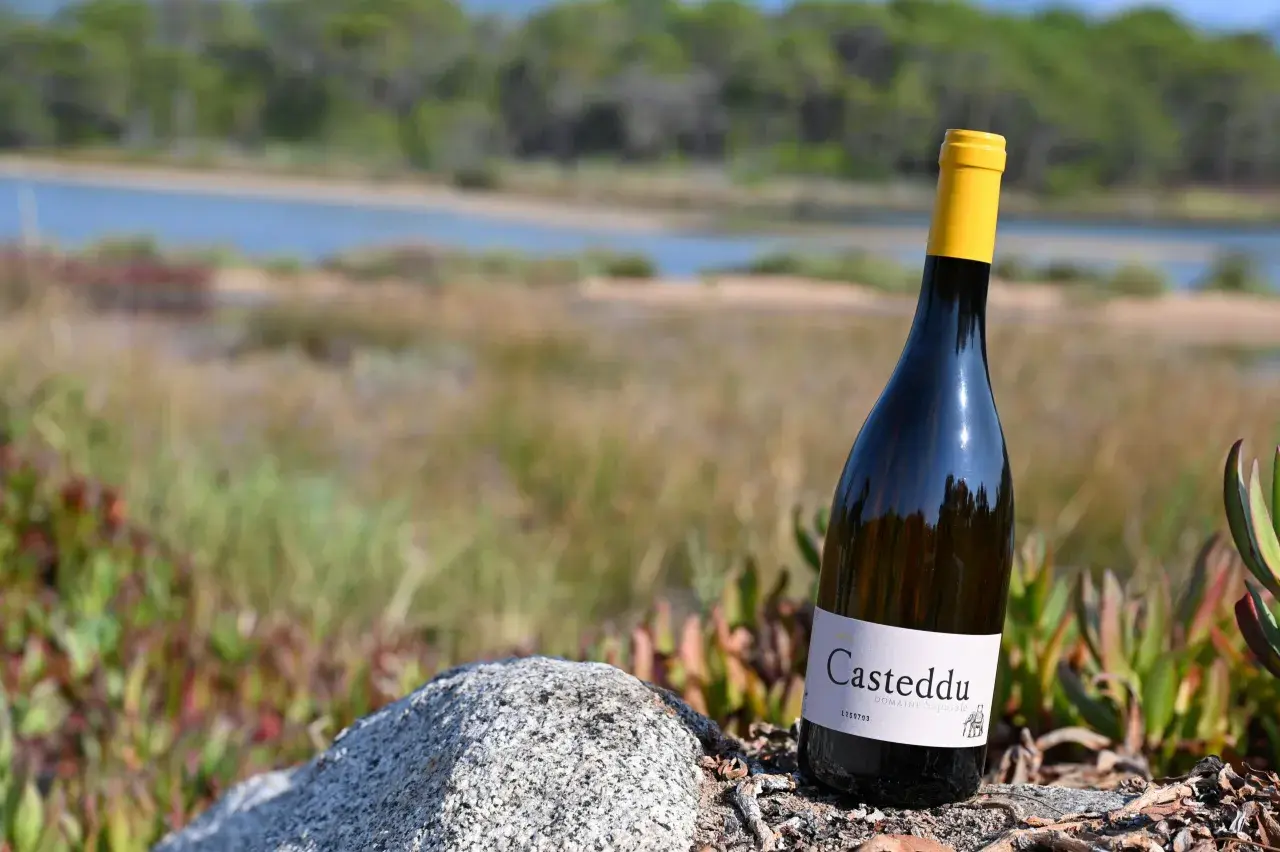 Bouteille de vin blanc du **domaine de Saparale** posée sur un rocher, avec un paysage de rivière et de végétation en arrière-plan.