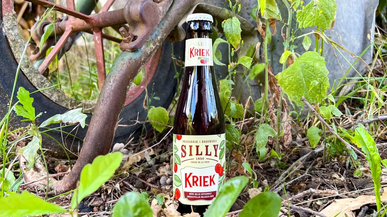 Bière à la cerise Silly Kriek, une bière belge artisanale, posée dans la nature près d'une roue rouillée.