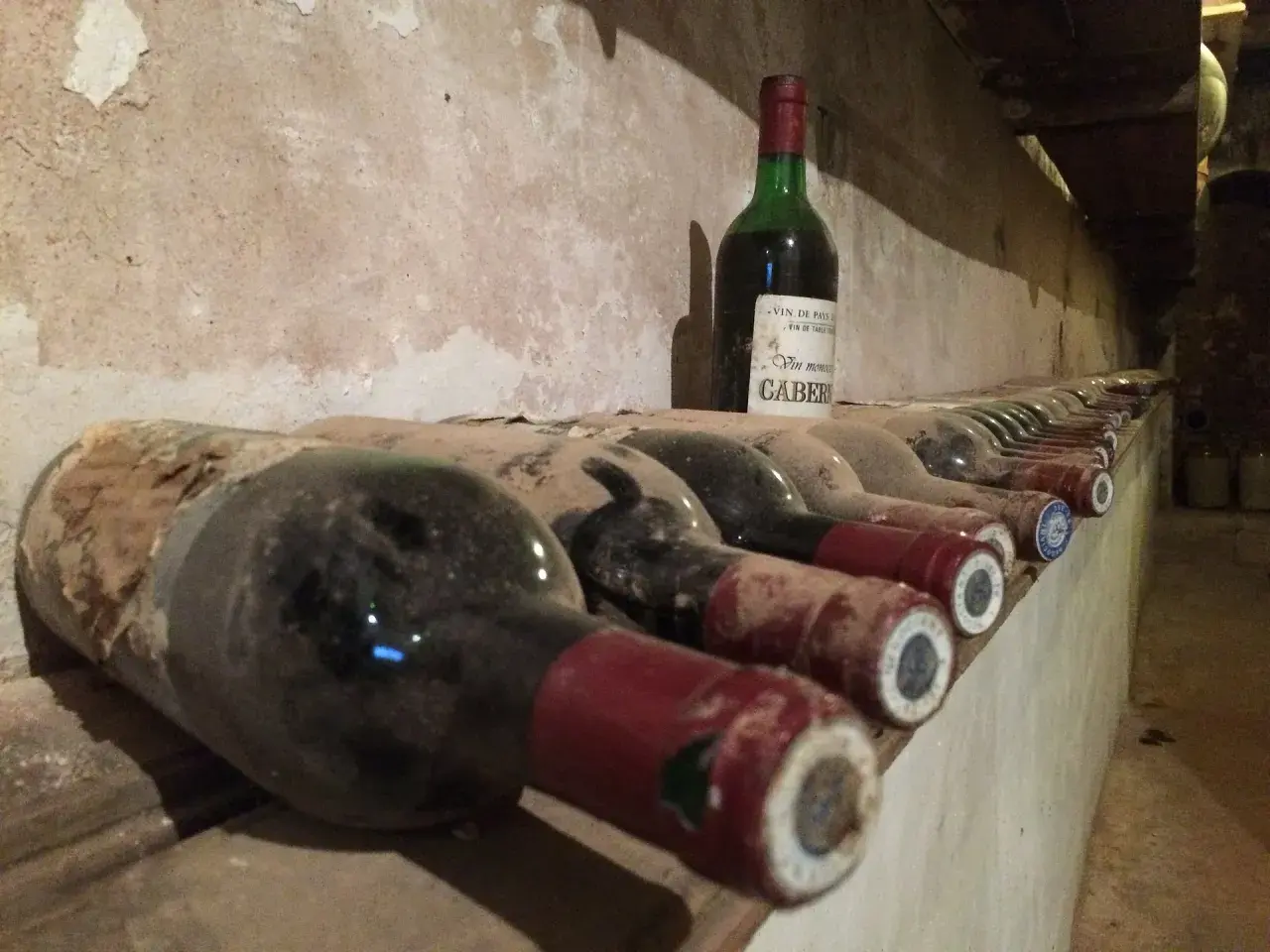 Des bouteilles de vin poussiéreuses s'alignent dans une cave. Combien de temps pour éliminer une bouteille de vin ? La réponse dépend de la patience du dégustateur.